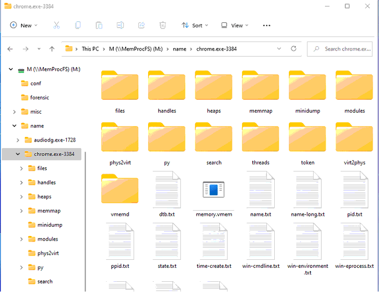 Unlocking the Power of MemProcFS: A Memory Forensics Case Study