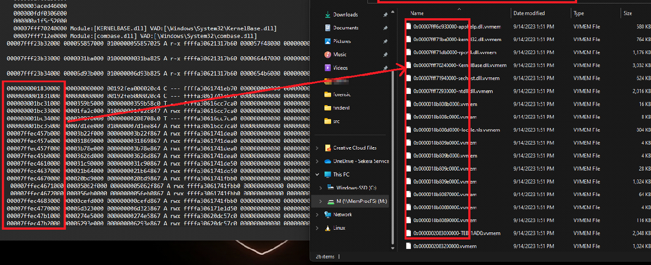 Unlocking the Power of MemProcFS: A Memory Forensics Case Study
