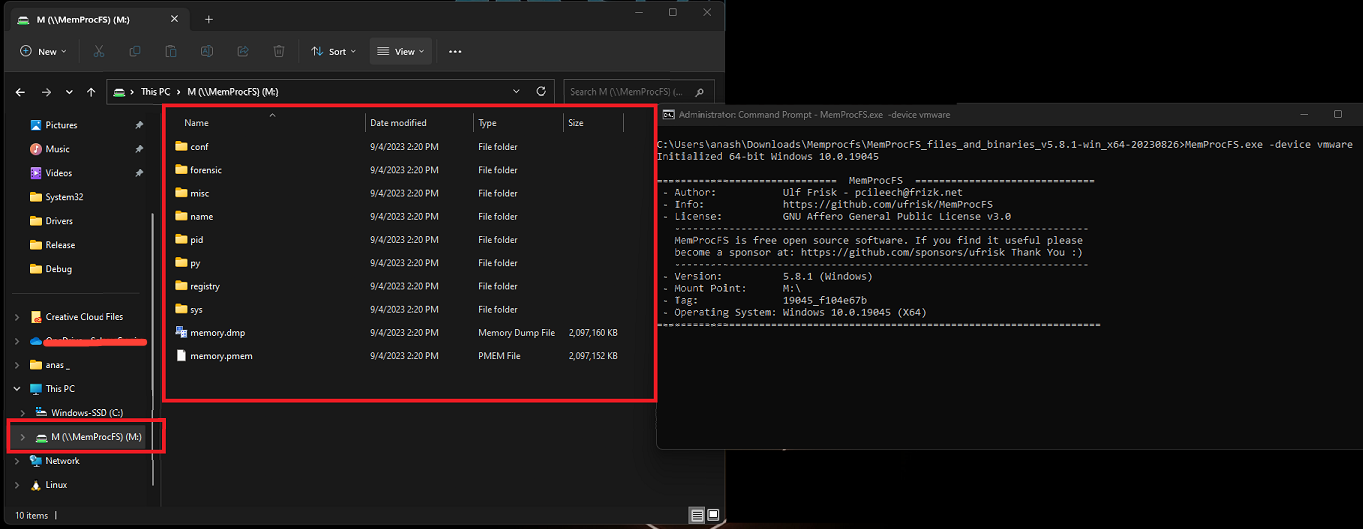 Unlocking the Power of MemProcFS: A Memory Forensics Case Study